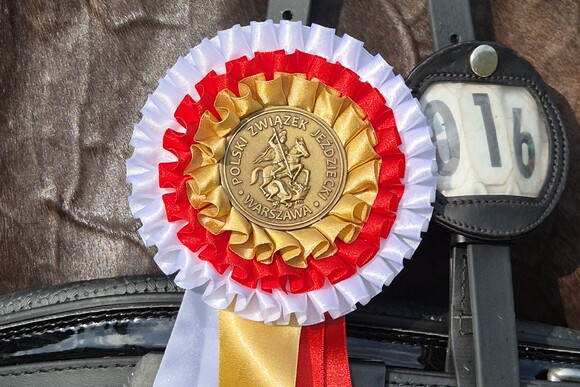 Rozety i kotyliony dla koni