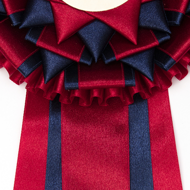 Rosettes Day Star