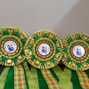 Rosettes Best in show