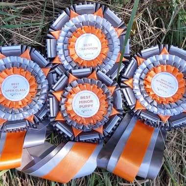 Rosettes Best in show