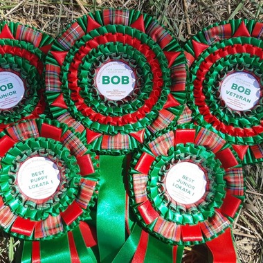 Rosettes Best in show