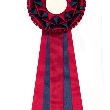 Rosettes Day Star