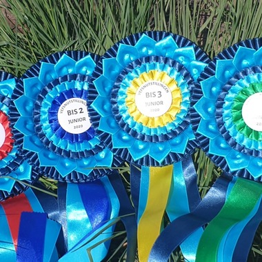 Rosettes Best in show