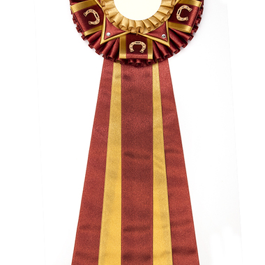 Rosettes Lucky Horseshoe